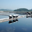 비금북부길 이미지