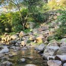 금자네펜션 이미지