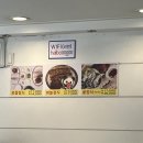 [경희대/외대] 맛집 리뷰 ‘할머니보쌈’ (내돈내산)