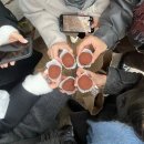 (유)이공간디자인 | 연남동 두쫀쿠 탐방 : 유메이크쿠키 🧆(+ 두바이치즈케이크?!)