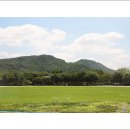 예솔유치원 이미지