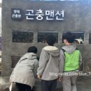 자연교육사 이미지