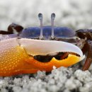 메이플농장 이미지