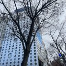 광주안과의원 | 광주안과의원 신세계점 시력교정술 정밀검사 및 스마일라식 수술 후기(내돈내산 찐강추)