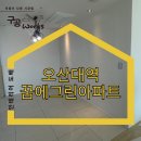 그리다디자인웍스 | 오산도배 '이 벽지'는 실패할 일이 없죠 (Feat. 오산대역꿈에그린 아파트)