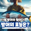 신현동-13 이미지
