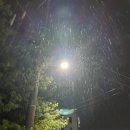 명성가왕솥뚜껑 이미지