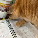 방배중학교 | JLPT N4 후기. 12월 7일 나는 시험을 보았다!!