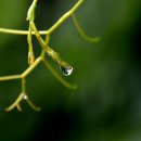 비 개인 후 이미지