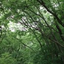 일월일지 이미지