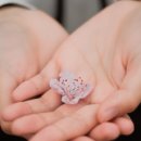 바름한의원 이미지