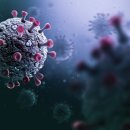 일본, 안전 데이터 없이 세계 최초 자가 증폭 mRNA 코로나19 백신 승인 이미지
