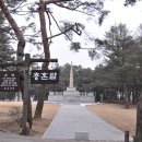 까망콩 이미지