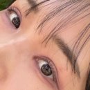 이다지뷰티 | 대전 탄방동 속눈썹펌 잘하는 곳 이다지뷰티 방문 후기