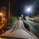 대머리근린공원 이미지