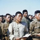 한국전쟁 당시 붙잡힌 인민군 포로 이미지