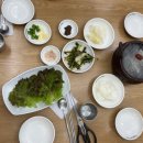 삼교리동치미막국수 안산이동점