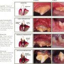 헤아림동물병원 이미지