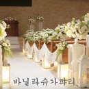 슈가파티 이미지