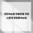 뷰티톡톡 | 대전속눈썹 한올한올 자연스럽게 탄방동속눈썹