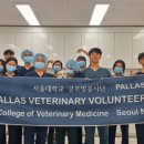 하 수의과 동물병원 이미지