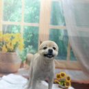 호이펫샵 이미지