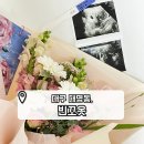 대구 꽃다발 꽃바구니/대명동 꽃집 &#39;빈꼬옷&#39; 꽃다발 후기