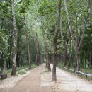 옹기골근린공원 이미지