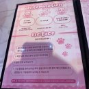 오마이멍멍 | 외향적인 메이드가 있는 홍대 메이드카페 메이드문
