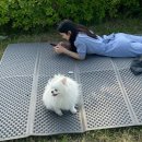 이마트24 남양주메가몰점 이미지