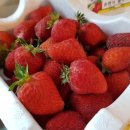 두식농원 이미지