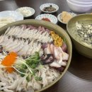 돌산아나고 이미지