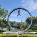 맹종죽테마파크1 이미지