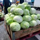 태양식자재유통 이미지