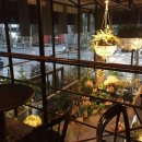 신세대안경 이미지