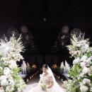 해군호텔 W웨딩 [본식스냅] &#39; 비비안웨딩 &#39; 후기!