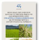 건강백쌀