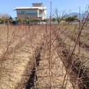 수양1 농장 이미지