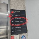 대백애견 이미지