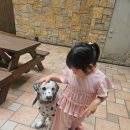 무지개목욕탕 | 내돈내산후기 6세아이랑 실내물놀이장추천 씨랄라워터파크 이용후기