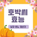 10월27일 일요일 이미지