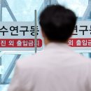 똘똘뭉쳐