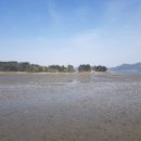 새남해농협설천주유소 | ♣경남 남해군 토지 경매♣경남 남해군 설천면 진목리 토지 경매/ 토지525평 경매가9천1백 해안도로접...