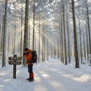 북이면사무소 | 장성 방장산 등산코스 겨울 눈꽃 산행 서해안이 보이는 설경 명소 초보자 리얼 후기