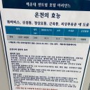 부산 해운대 센트럴호텔 슈페리어 트윈 내돈내산 후기: 조식, 수영장, 꿀팁