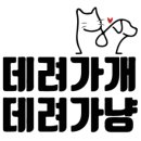 광주애견샵24시데려가개