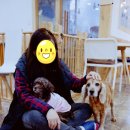 함께할개 사랑할개 이미지