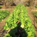 상구농장 이미지