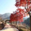 병목안시민공원 이미지