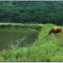 초계중학교 이미지